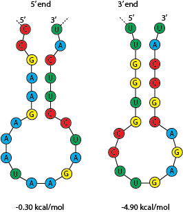 Predicted secondary structure