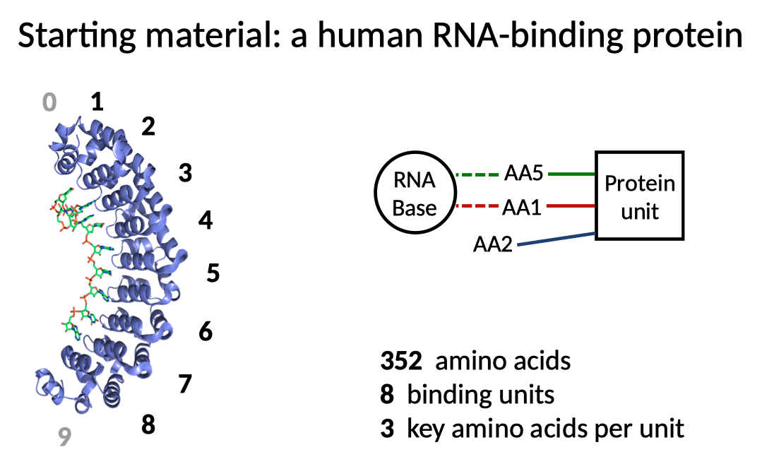 PumHD diagram