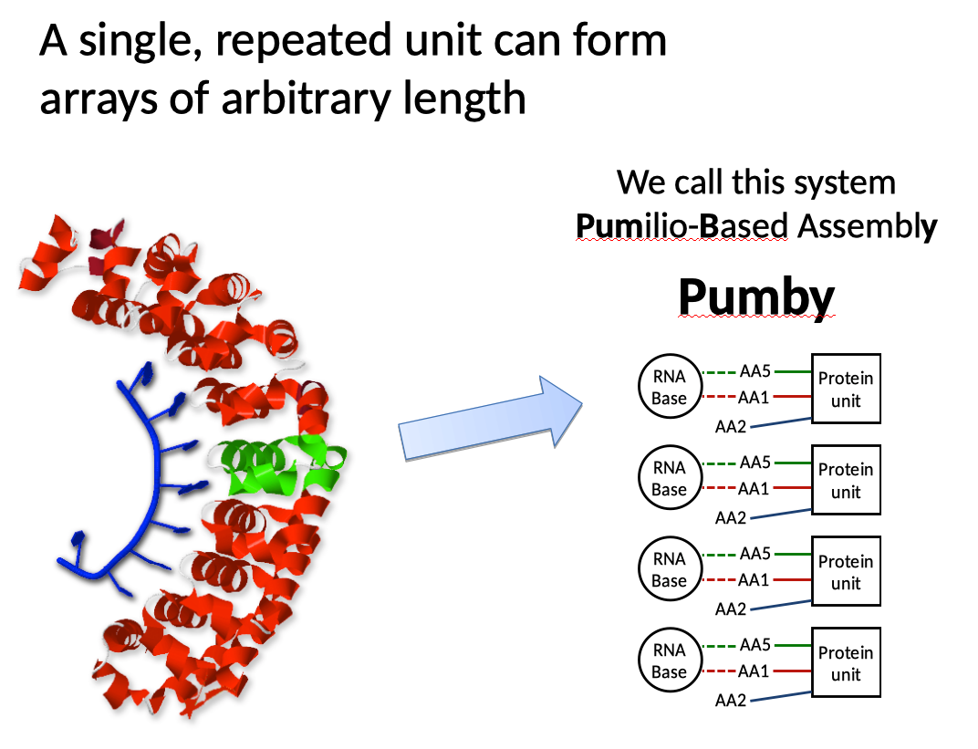 Pumby diagram